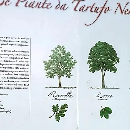 Eco House Roero